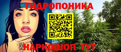 эйфоретик Кандалакша