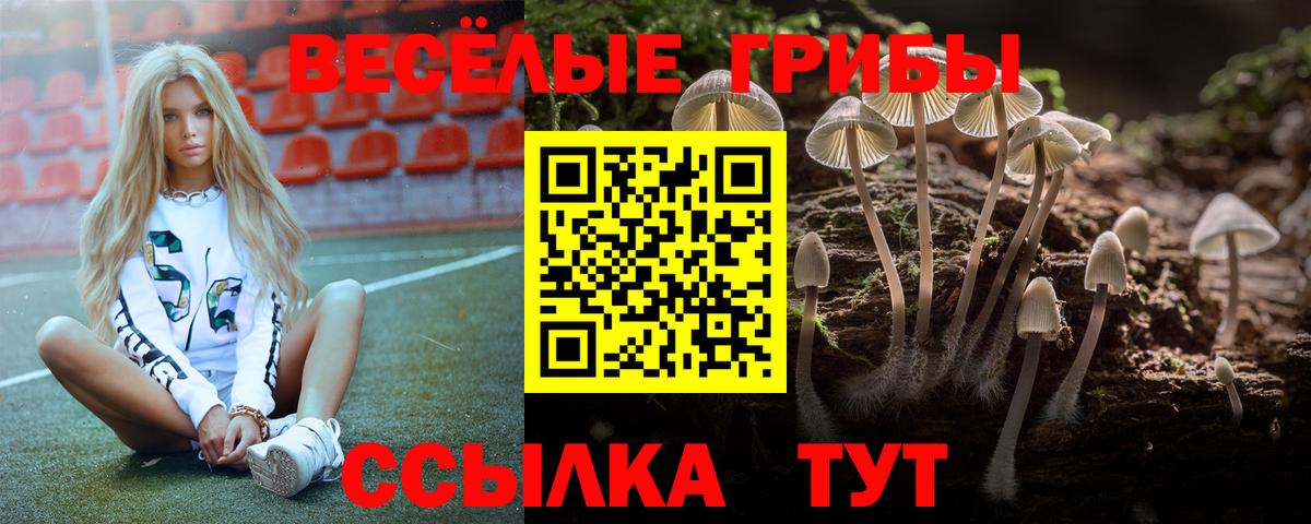 Псилоцибиновые грибы MAGIC MUSHROOMS Лениногорск