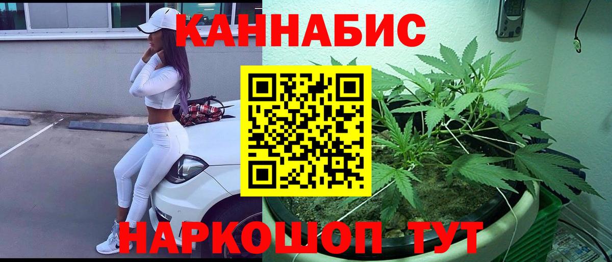 Конопля OG Kush Лениногорск